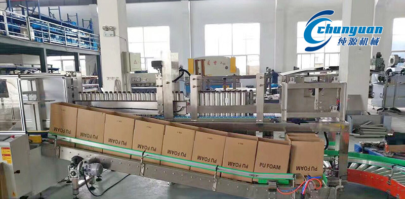 裝箱機(jī)，挑選裝箱機(jī)，純?cè)囱b箱機(jī)，純?cè)礄C(jī)械